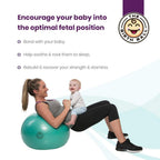 Buy The Birth Ball | # 1 Selling Birthing Ball For Pregnancy and Labor - FREE Rush Shipping